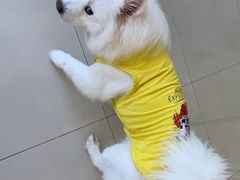 -怪兽屋·羊驼·猫咖·狗咖(俊华广场店)