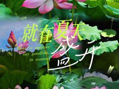 -荔湾湖公园
