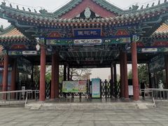 -莲花池公园
