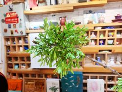 -今日陶艺(富力广场店)