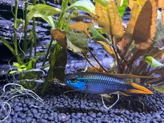 -上海海洋水族馆