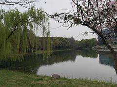 -尚贤河湿地