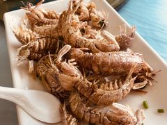 -金海湾海鲜排档(朱家尖店)