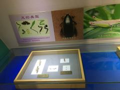 -上海昆虫博物馆