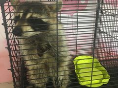 -平行世界·猫咖(首经贸店)