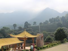-灵光寺