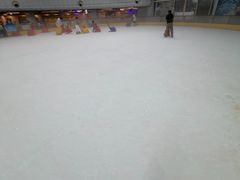 -世界之窗阿尔卑斯冰雪世界