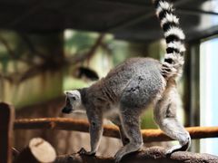 -海合安武汉极地海洋公园