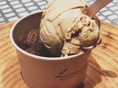 黑巧克力杏仁冰淇淋-Luneurs(幸福里店)