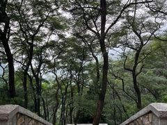 -泰山风景名胜区