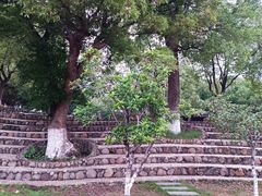 -八大山人梅湖景区
