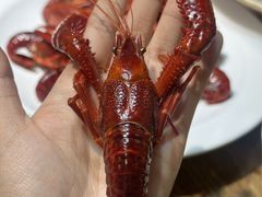 -叶派龙虾•招牌香辣蟹·海鲜(中海国际店)