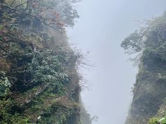 -峨眉山风景名胜区
