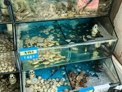 -小叶大馅饺子城