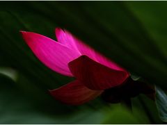 -北京稻香村(甘家口店)