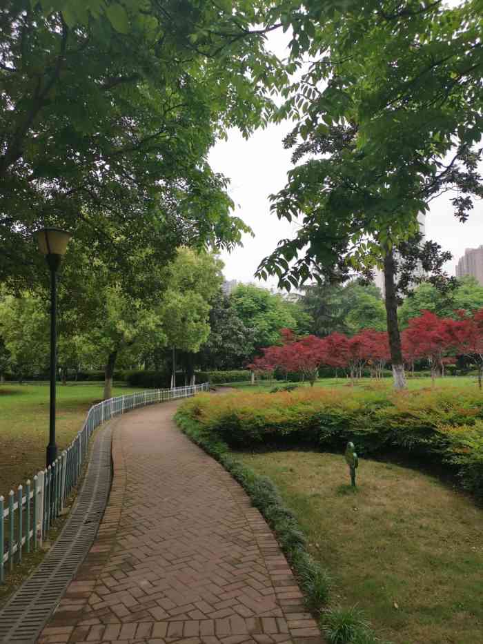 南干渠游园-"最喜欢家附近的这个公园,也是附近居民夜间.