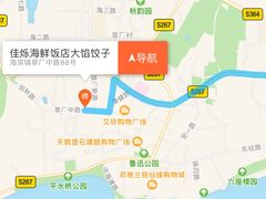 -烁佳海鲜大馅饺子