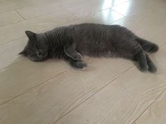 -Rabbit Cafe私房西餐甜点咖啡(栖霞路店)