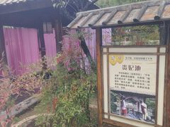 -观唐（国际）度假村温泉