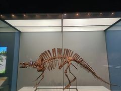 -湖南省地质博物馆