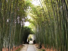 -上海市龙华烈士陵园