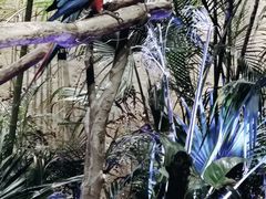 -杭州开元森泊度假乐园