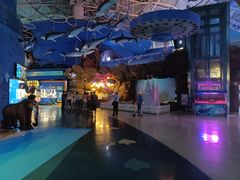 -烟台海昌鲸鲨海洋公园