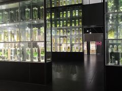 -广东中医药博物馆