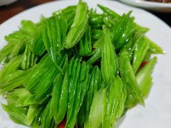 清炒山苦瓜-墨江小城故事餐厅