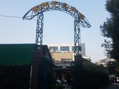 -曲阳花鸟市场(曲阳路店)