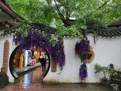 -青城山