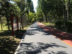 -大兴滨河森林公园