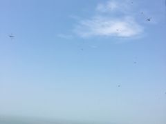 -巢湖姥山岛