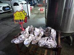 -蚝专家(北滘店)