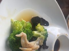 -鲁前海沿儿