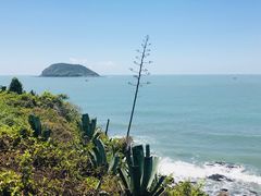 -八婆婆烧仙草(曾厝垵店)