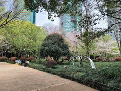 -陆家嘴中心绿地