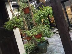 -杭州西湖风景名胜区-满觉陇四眼井
