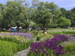 -上海共青森林公园