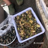 LL爱家乡美食