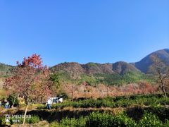 -塔川景区