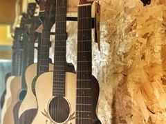 -艺桉余音琴行(火神庙分店)