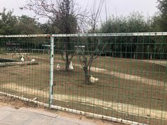 -杨柳青庄园