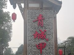 -青城甲(青城山店)