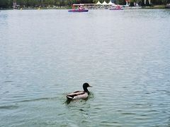 -朝阳公园游乐园