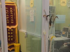 -悦宠动物医院(京丰分院)