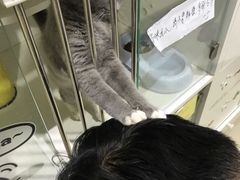 -1013 PET SHOP 宠物商店(近铁城市广场店)