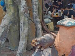 -长鹿旅游休博园