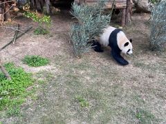 -泉州海丝野生动物世界