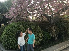 -天下第一面(大雁塔北广场店)